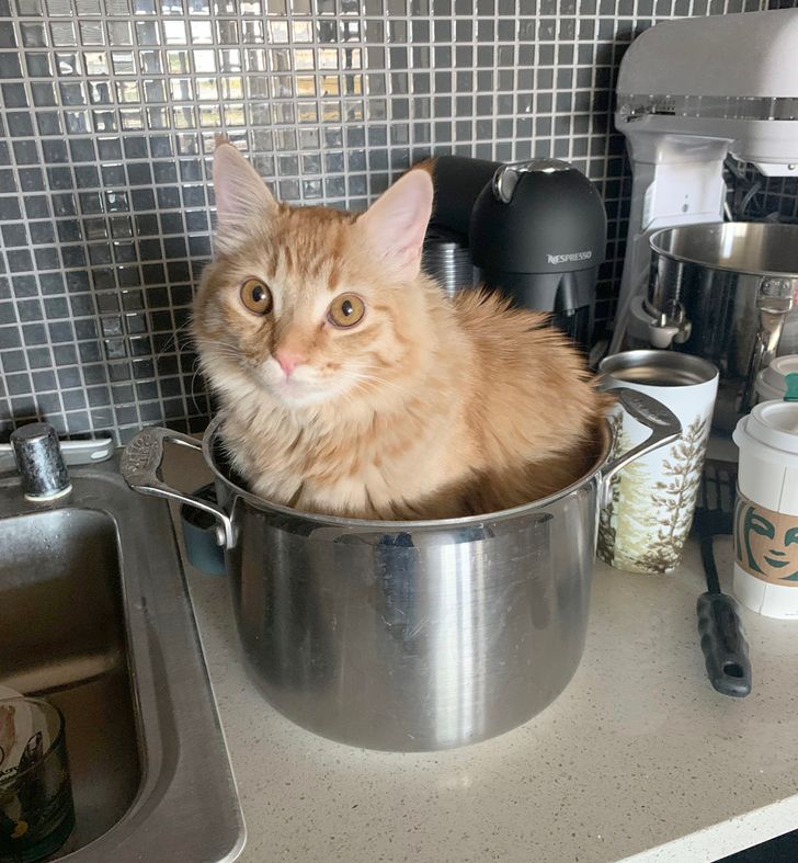 b4c9855ccc8c812e3829a38239