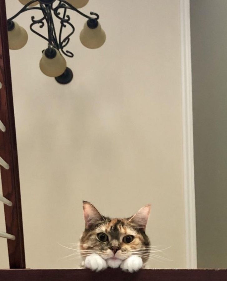 b4cbd651de933db77562b3939e