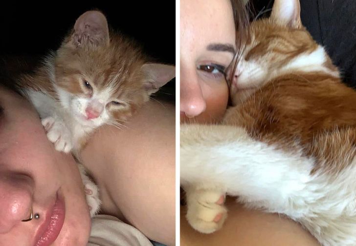 b4e069537abf635c09cfd2ba7a