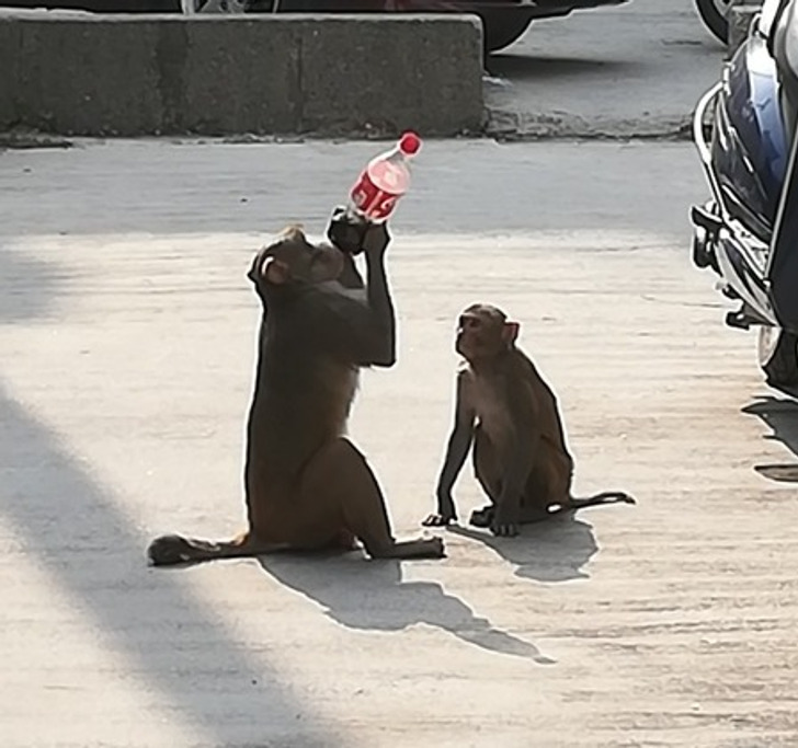 b4e08e50a78293afd315a40259