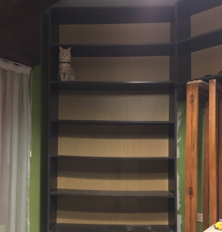 b4e6175f919cce543ffd6c8c15