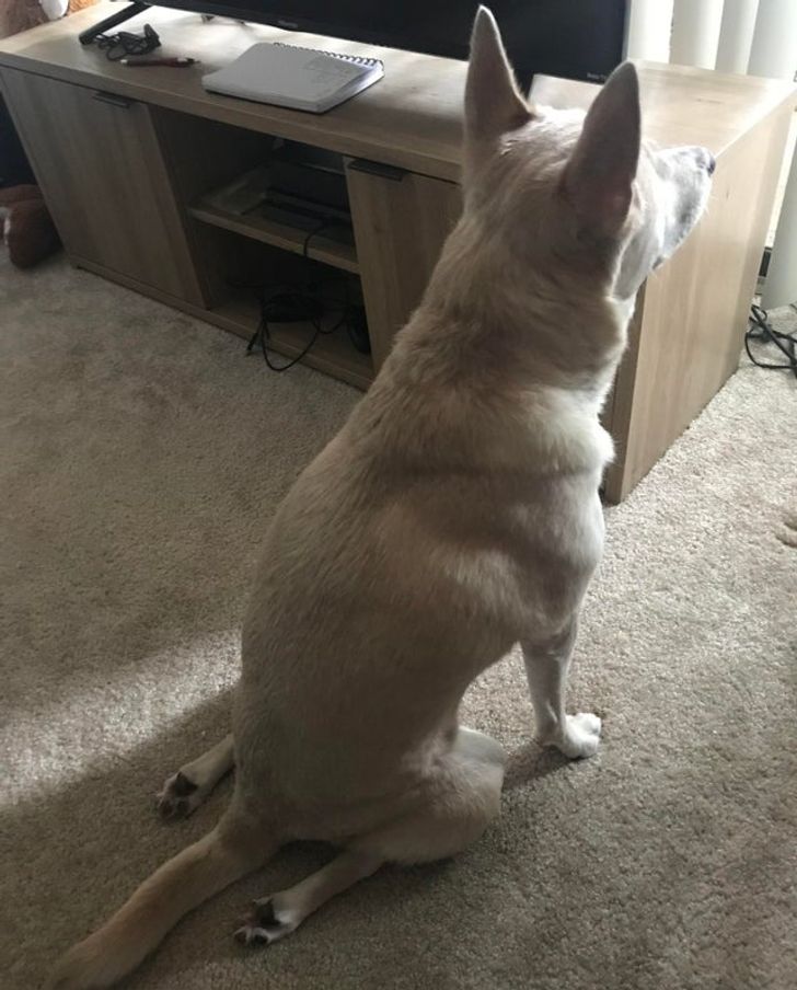 b4e65d5b3aaf64034cdfc74156