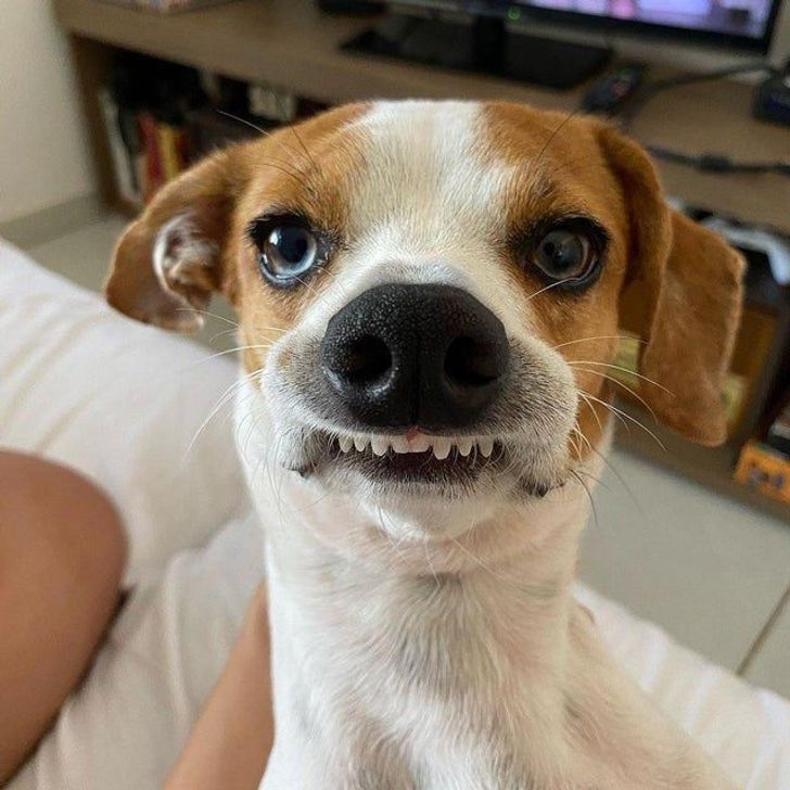 b4e7585961a40829998be0544d