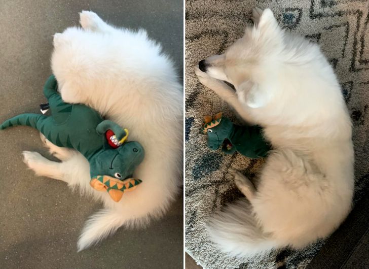 b4e93a5f03816ac8314aa44694