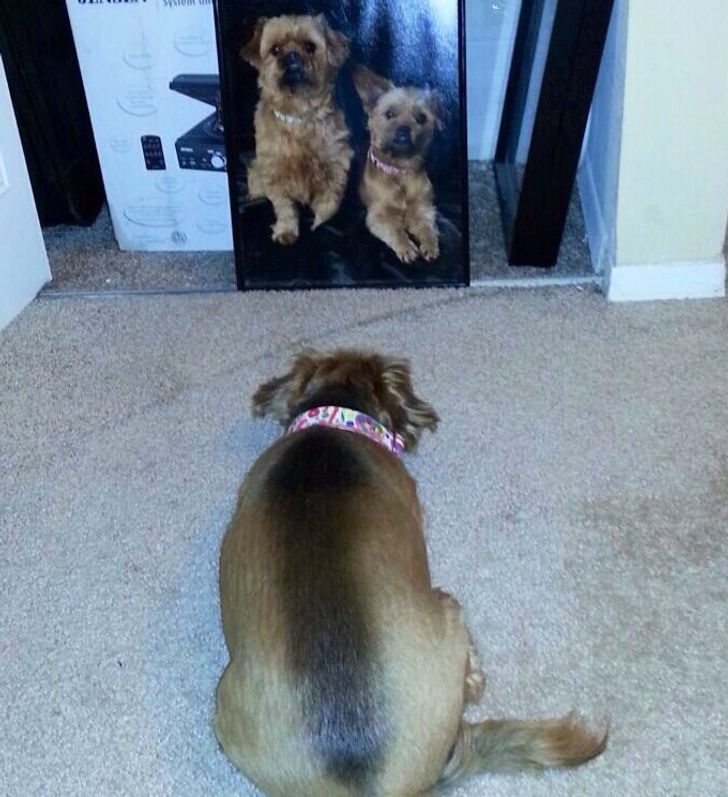 b4f5645f7c8f0dfb9bd9f31f7b