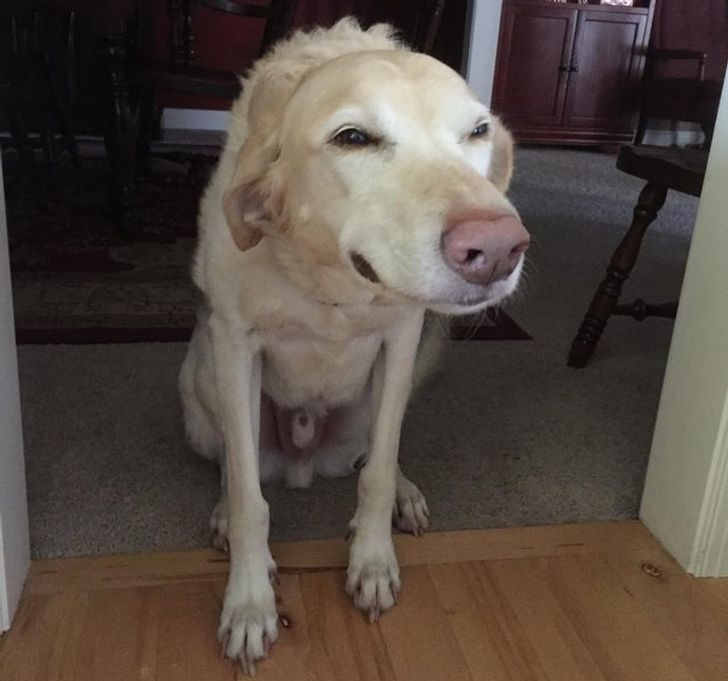 b4f7c953229eda7af69c0f144a