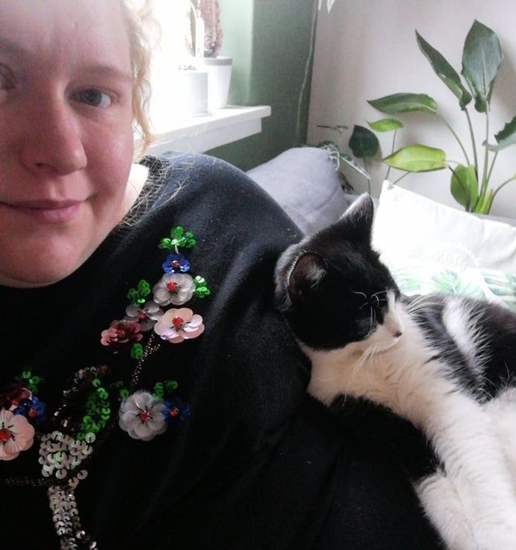 b4fce055088c33673ff67e51de