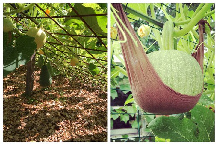 b4fef651a58fa7f4e6ebe9519f