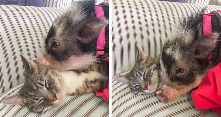 b5012e5a8e9a1b2aa64f85e253