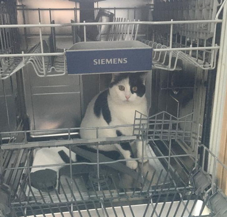 b503f05115ac22eb6e3b25835b