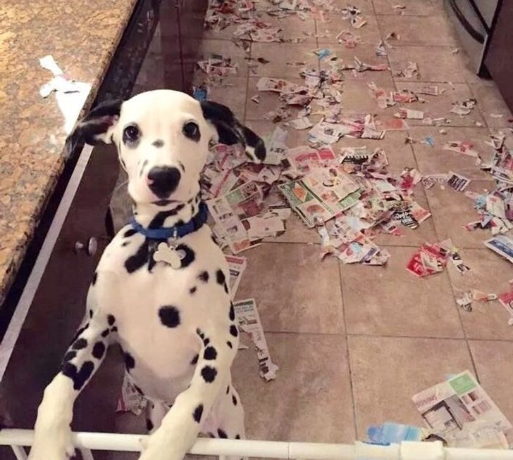 b504e4544da53b375f5fab791e