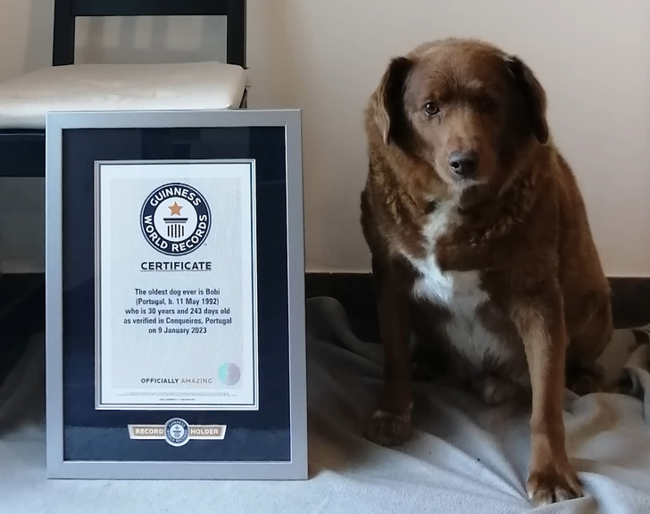 b507c45ad8b3aca2fc4bcc30cd