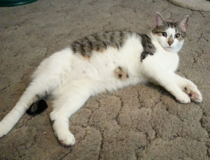 b50a335970a03e5a5eb19d3968