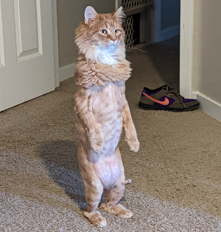 b525f958d59d417e0fdfc4aee0 b525f958d59d417e0fdfc4aee0