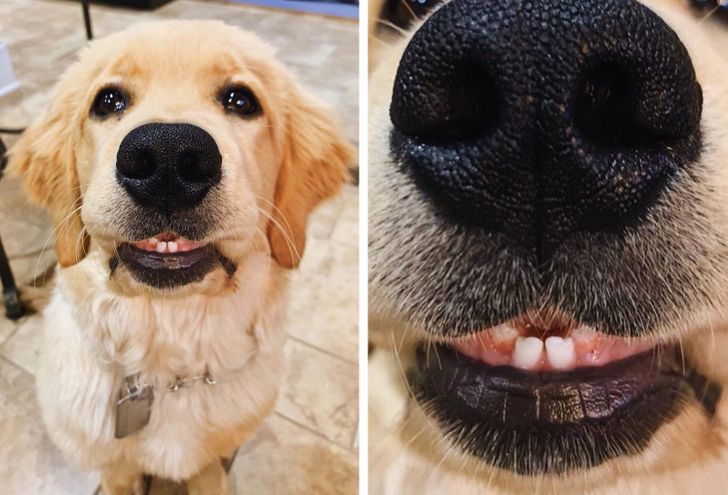 b527ab5ab0a0cc8071d462f70e