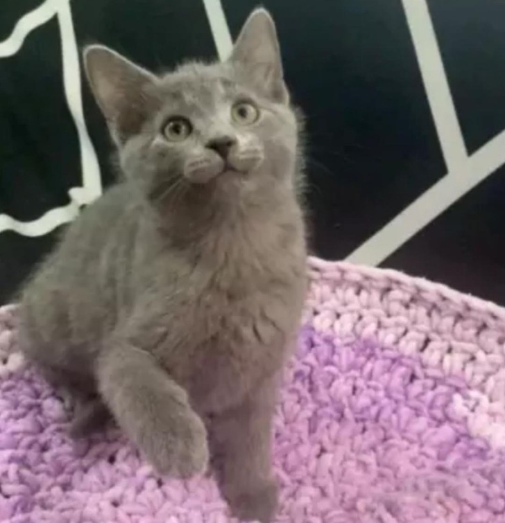 b52b40594e9851a15777f40a2f