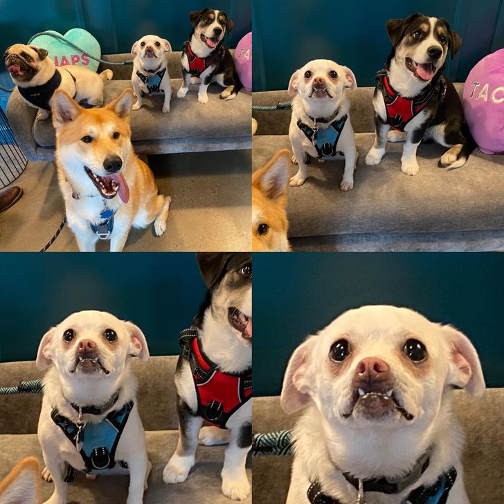 b530555f8180f81bd35c2d33e1 b530555f8180f81bd35c2d33e1