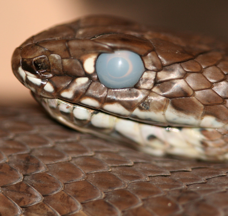 b535a35231bf25e59e748cf5c4