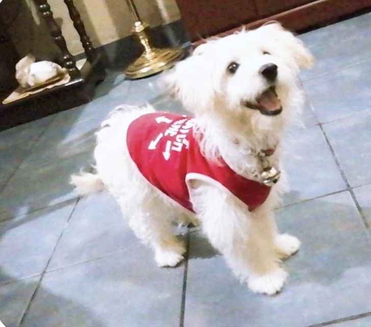 b5375453e8821a776a7e3d0069