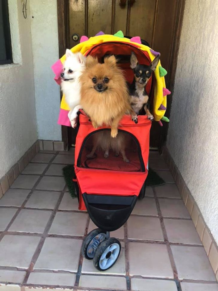 b53a0e59d2b9cbdf28eb98abe8