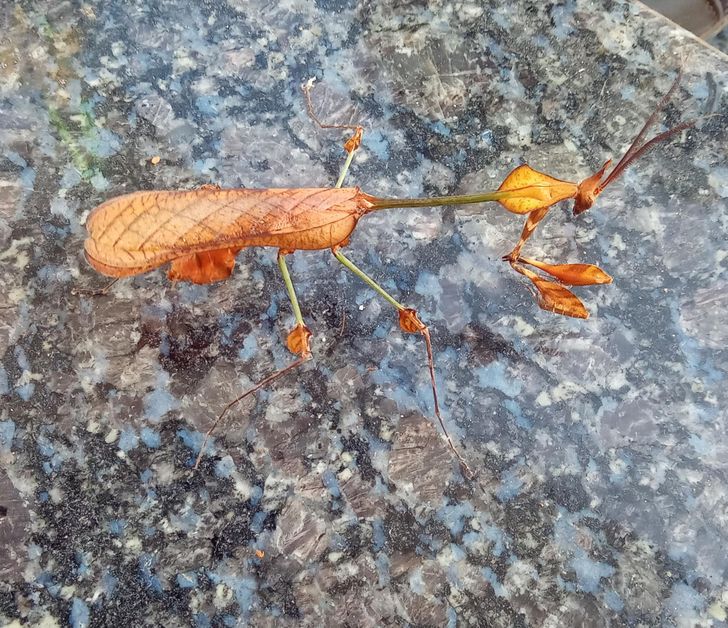 b53ab45c3ba08e3e53522ec450