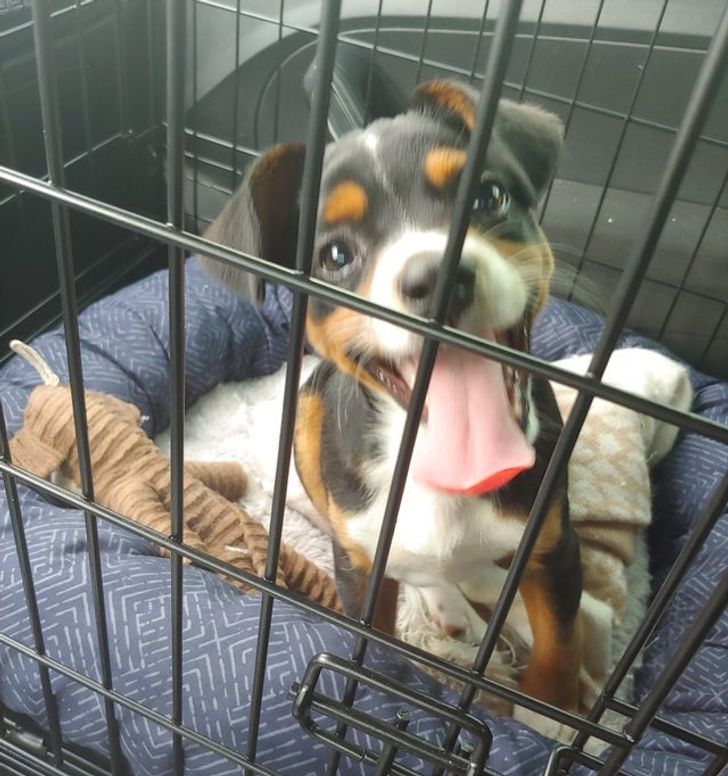 b53e0e5238ae9bf1b4ee7de703