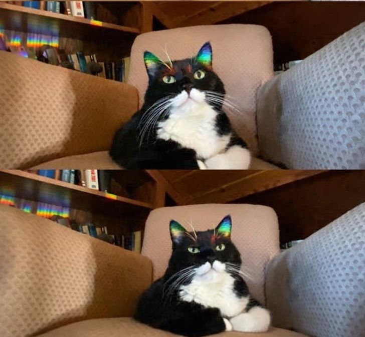 b542445cf8b5d8b78bbaa17082