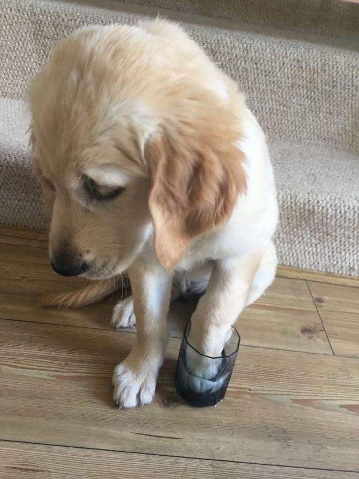 b542785f94891861f70f0abef0