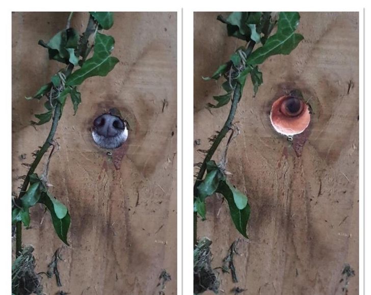 b5487558cfa1e8915dc8baade9