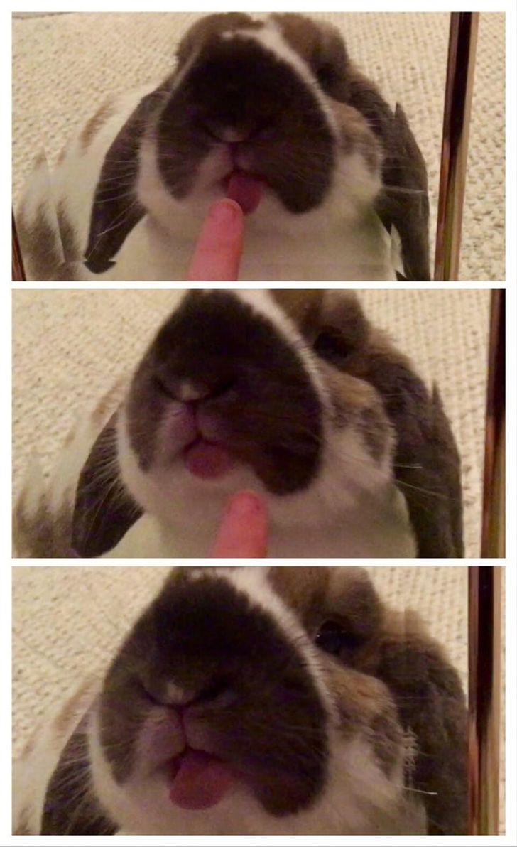 b54a685b31b1eb5a73ec48a4b7