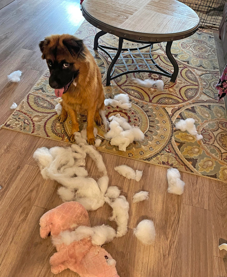 b54b045eab8fc03578566dc1e1