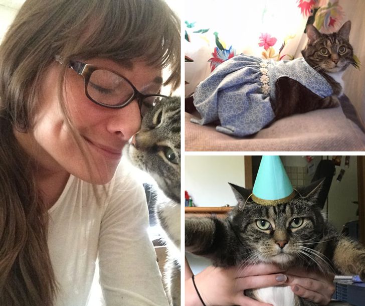 b54d0e5b1e800f6fe9b72f4249