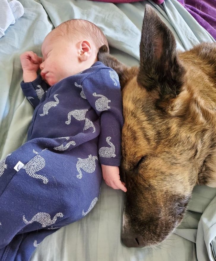 b54edd55d2a04738e93464dca5