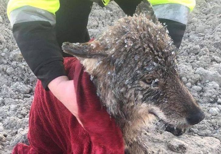 b558fa5e94839d58a85748e4eb