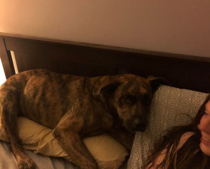 b55b6c57d5a2bd6c1efef80017