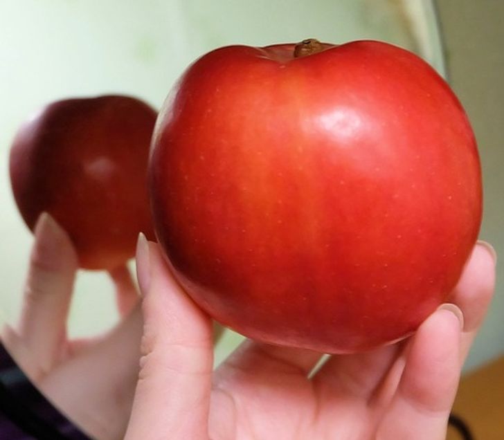 b55b8a54c7996660e9037a108e