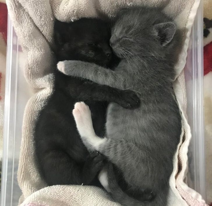 b561e25f41abed47edc9f8f872