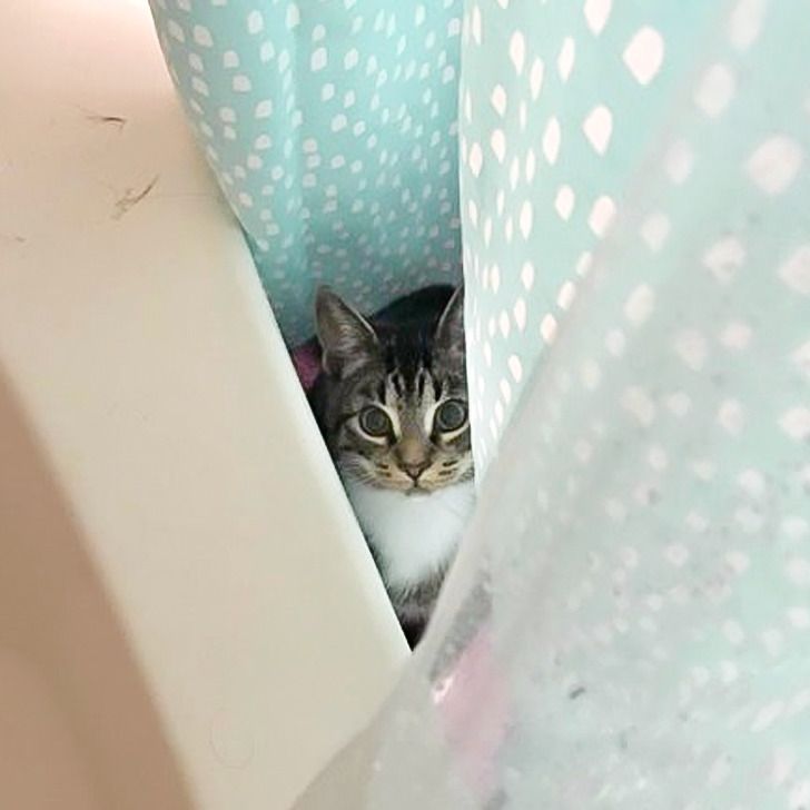 b566a154809c9882e859626e05