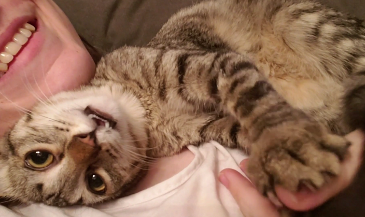 b566f25a48819c2f2aa67fbca9