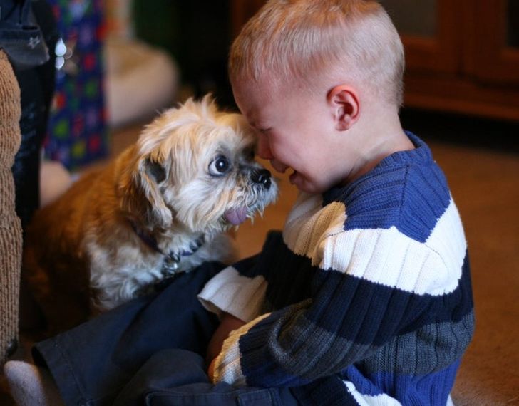 b56ba65b36adf6dc0477e7b778