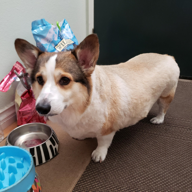 b5741b586f9db182588a78f832