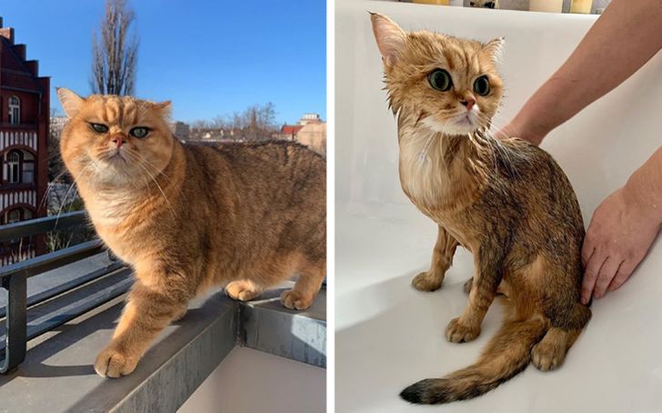 b579e359fb840061daa576ca16