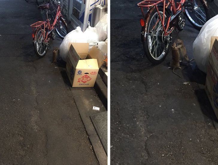 b57b4e53fdb76d3ceca2deb2b6