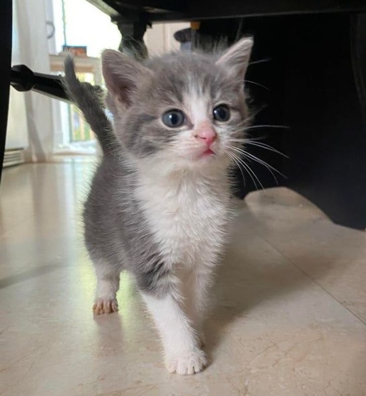 b582885f2297af577a4c5690fa