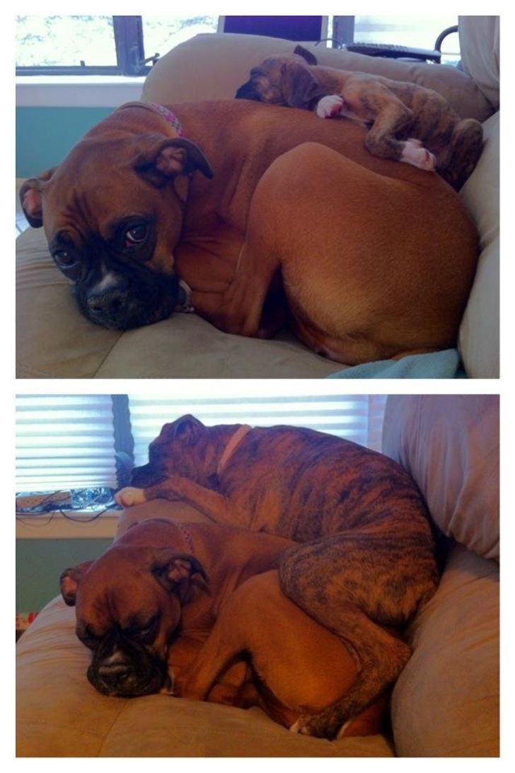 b585905712a93c4fd39d724349