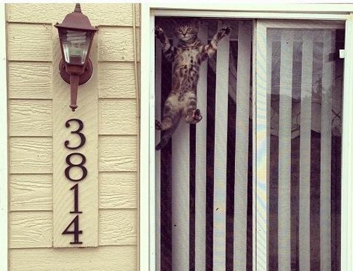 b59725532eaea0d0a48fe95bb1