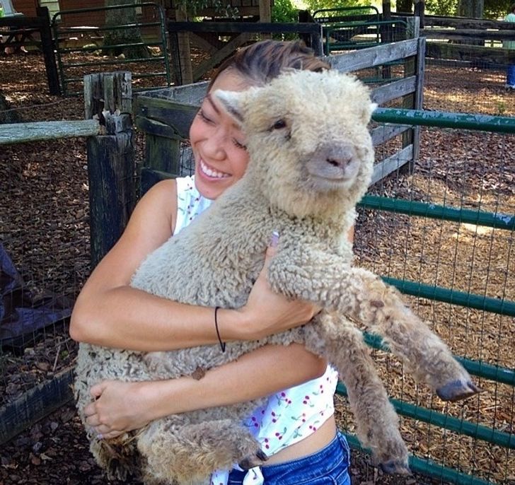 b597535f34a3227a93b48d6654