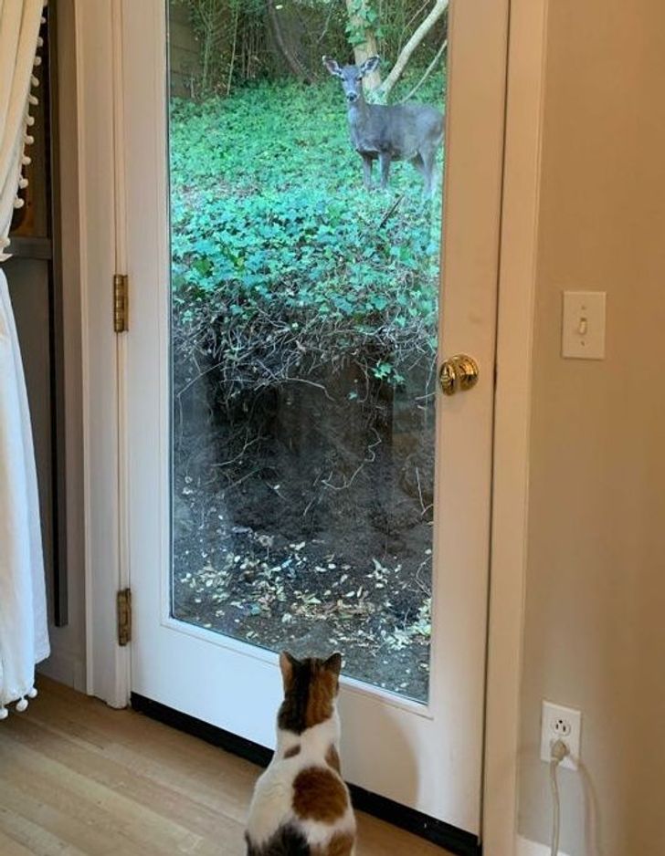 b5a345563ead6e8c268a20d733