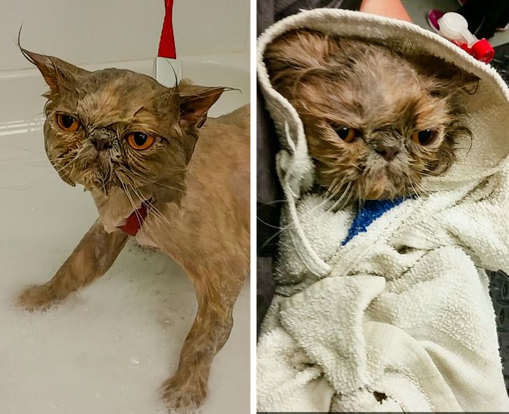 b5a35e5a57aa441dc92c589ac2