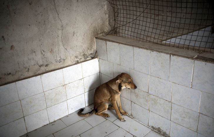 b5afe850e1addd12ebd848d029